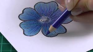 Youtube Pencil Drawings Of Flowers Coloured Pencils Flower Drawing