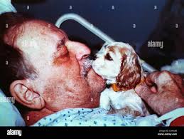 May 02 2003 austin tx hi-res stock photography and images