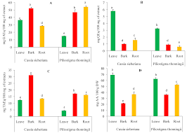 Image result for Agelanthus terminaliae
