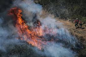 Country quest, alcoutim, pia saari, 921 140 659 and daniel silva 934 972 737. Visao Incendios Concelho De Tavira No Distrito De Faro Em Risco Maximo