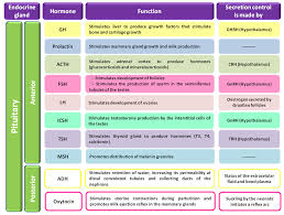 Pituitary Function German Shepherd Pituitary Dwarfism