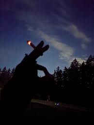 Welcome to reddit, the front page of the internet. Camel 99s For These Ice Cold Nights Cigarettes