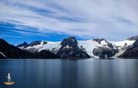 Kenai fjords national park camping. Whale Watching Im Kenai Fjords Nationalpark In Alaska