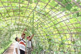 Film jepang terbaru kakek sama cucu berduaan di kamar. Kerja Kosong Di Kampung Raja Besut Kerkosa