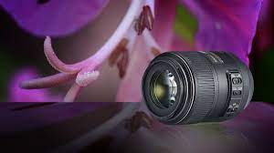 The Best Macro Lenses In 2021 Get Closer To Your Subjects Than Ever Before Macro Lens Best Macro Lens Best Camera Lenses