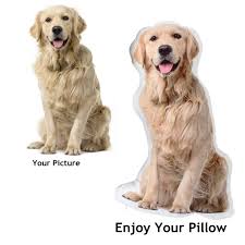 Grab some coffee or tea and share your pet's enthusiasm for early mornings with a personalised dog mug or cat mug. Picture Pillow Custom Pet Pillow Dog Pillows Gift Children S Bedding Amazon Com Au