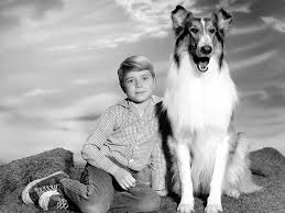 This list is full of classic & vintage inspired dog names to choose from. 10 Most Famous Dogs In History And Their Stories Worth Telling