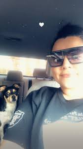 Lost St. Bernard in Elmwood area