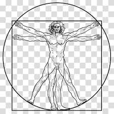 Vitruvian Man Drawing Man Transparent Background Png Clipart Hiclipart Freepik free vectors, photos and psd freepik online editor edit your freepik templates slidesgo free templates for presentations storyset free editable illustrations. vitruvian man drawing man transparent