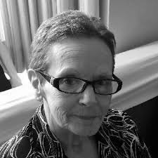 Diane Warnick Obituary (2017)