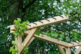 Weinreben Pergola Und Passende Kletterpflanzen Fur Ihren Gartenbereich In 2020 Gartengestaltung Ideen Diy Pergola Pergola