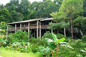 Replica buildings of 9 major ethnic group in sarawak can be found in this village here. Sarawak Cultural Village Tour From Kuching 2021