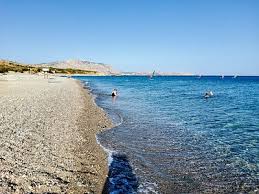 Image result for Sorindeia rhodesica