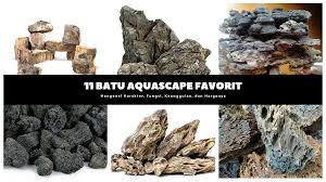 Check spelling or type a new query. 11 Jenis Batu Aquascape Yang Cantik Dan Natural Bukareview