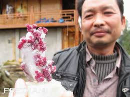 Les spinelles de Luc Yen