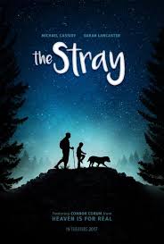 Pin By Lapa Z Nya On Best Drama Movies 2017 Watch Online Putlocker Best Drama Movies English Movies Dog Movies