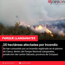 At the heart of incendio s sound is the latin or spanish guitar, which can conjure up romantic as well as powerful, bold images. Diario Opinion 25 Hectareas Afectadas Por Incendio En Facebook