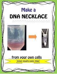 Dna Extraction Make The Coolest Necklace From Your Own Cheek Cells Dna Project Middle School Science Experiments Cool Science Fair Projects