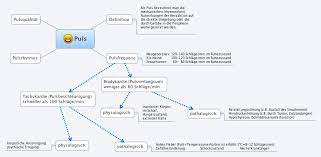 Puls Xmind Mind Mapping Software