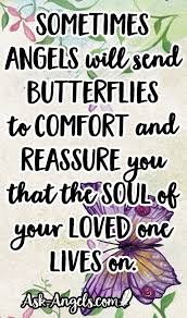 Black And White Butterfly Spiritual Meaning Butterfly Meaning The Symbolism Will Surprise You Butterfly Meaning Butterfly Quotes Healing Quotes