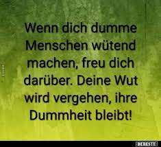 wenn dich dumme menschen wutend machen freu dich lustige zitate und spruche spruche zitate leben dumme menschen