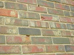 What do you guys think? Holes In Mortar Exterior Inspections Internachi Forum