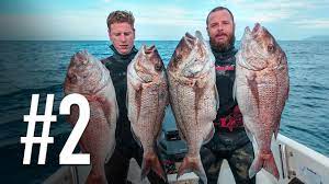 New Zealand Spearfishing Diaries Ep2 Giant Snapper Bluewater Kingfish Youtube