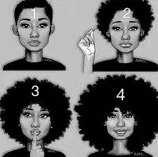 Sincerely A Natural Four Reasons Your Natural Hair Doesn T Appear To Be Growing Hair Growth Stages Natural Hair Journey Growth Natural Hair Styles