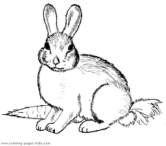 Bunny Coloring Book Page Lovely Bunny Bunny Coloring Pages Animal Coloring Pages Coloring Pages