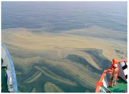 Polluted Seawater in the Arabian Gulf ...