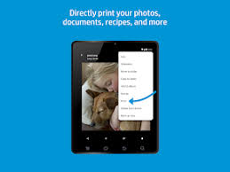 You can download any kinds of hp drivers on the internet. Hp Print Service Plugin Apps On Google Play