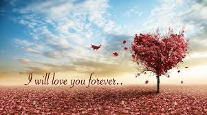 Good Night My Love Love You Forever Romantic Background Landscape Walls Autumn Trees