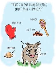 Where Is Cheater SHAME? - ChumpLady.com