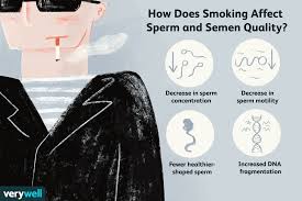 Cats can inhale secondhand smoke, but they can also lick up toxic substances accumulated on their. The Effect Smoking Has On Sperm And Male Fertility