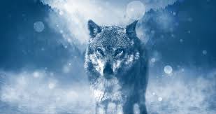 Maybe you would like to learn more about one of these? Wolf Tattoos Und Ihre Bedeutung Tattoo Magazin