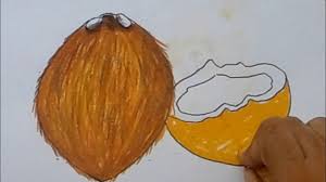 How to draw cute scenery with elephant and coconut tree | draw elephant easy. Kids Coconut Drawing 3d Amazing 3d Cocount Draw How To Draw Coconut Drawings Coconut Amazing