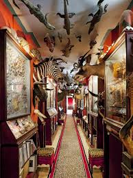 La Folle Vie De Chateau De Jacques Garcia Cabinet De Curiosite Curiosites Et Design