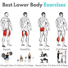 Best Lower Body Ecercises Lower Body Workout Weight Training Workouts Muscle Building Workouts