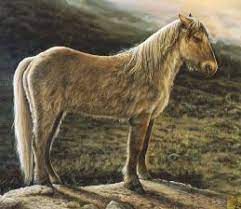 Why Did Horses Die Out In North America Features Horsetalk Co Nz