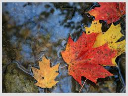 See 3 authoritative translations of otoño in english with example sentences, phrases and audio pronunciations. 30 Fotos Que Te Haran Enamorarte Del Otono Blog Xcaret Lee Sobre Viajes Gastronomia Naturaleza Y Cultura En Blog Xcaret