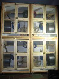 Diy l shaped chinchilla cage. Build A Cage