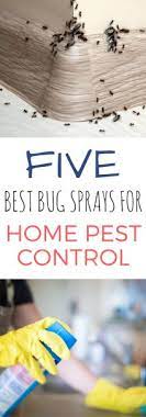 It kills ants, spiders and bees immediately. The 5 Best Bug Sprays For Home Pest Control