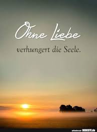 Ohne Liebe Verhungert Die Seele Lustige Bilder Spruche Witze Echt Lustig Spruche Lebensweisheiten Spruche Zitate