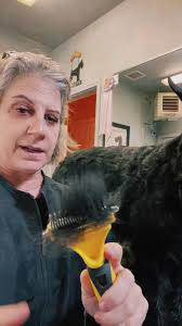 Not all rakes/deshedding tools ate created equal! Thisnone is great for  show grooming or pet grooming. It does not break the top coat.  #skylinegiantschnauzer #giantschnauzers #groomingtips #grooming ...