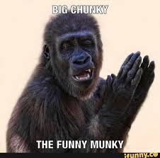 14 The Funny Munky Ifunny Funny Animals Animals Gorilla