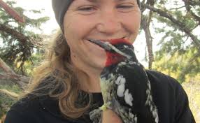 Idaho Researchers Study Impact Of Road Noise On Animals In Boise's  Foothills