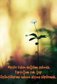 mutlu falan degilim aslinda yaptigim tek sey uzuntulerimi halinin altina supurmek mutlu