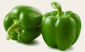 Image result for Capsicum