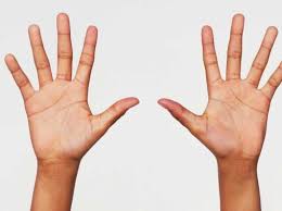 Wave goodbye to the haters. Why Do We Have Lines On The Palms Of Our Hands Bbc Science Focus Magazine