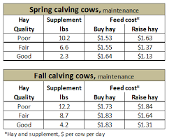 Cow Food Chart All About Cow Photos